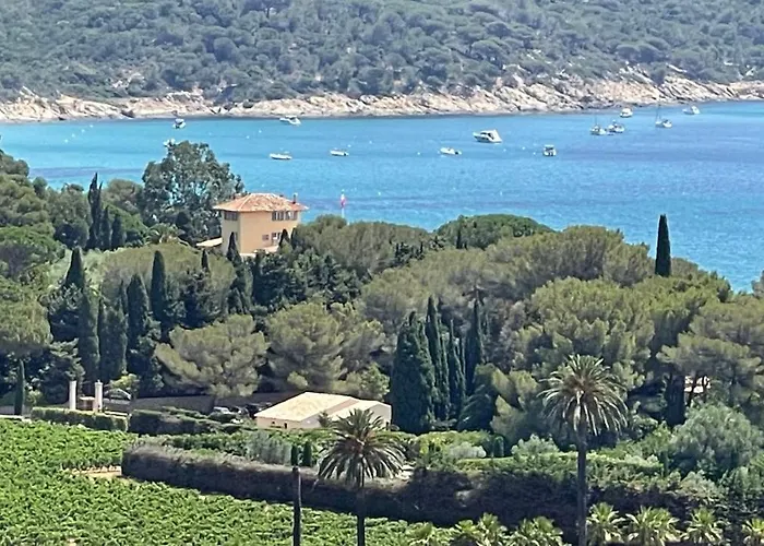 Gigaro View Sylvabelle